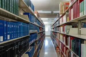 Legal Issues in Higher Education Institutions