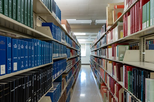 Legal Issues in Higher Education Institutions