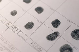 The Role of Forensic Accountants in Major Trials