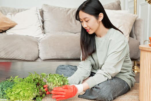Sustainable Home Eco Friendly Living Benefits Planet Wallet