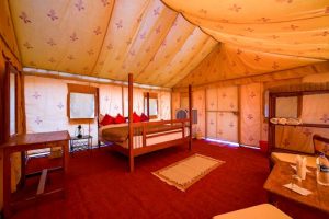 Hotel Renovation Projects Disrupt Guest Experience Significantly
