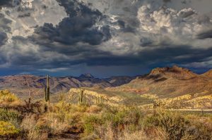 Desert Racing: Vehicles Conquering Harsh Environments