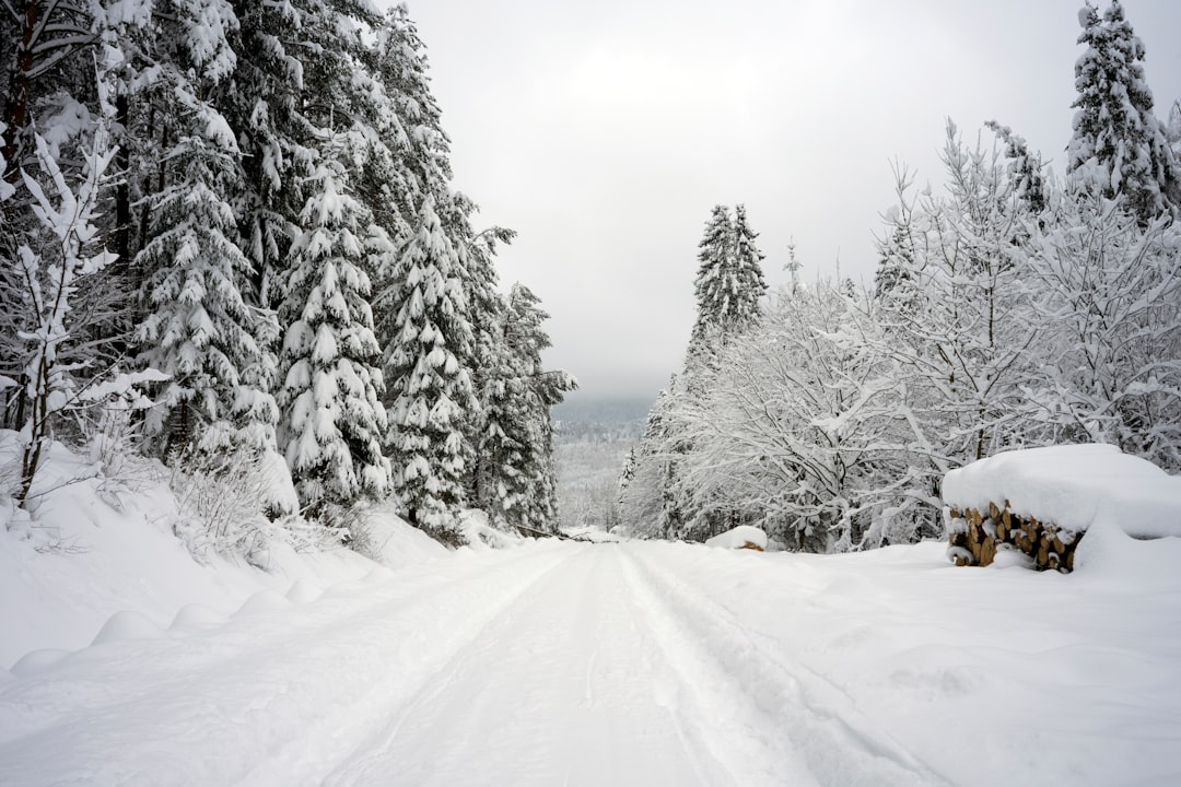 Cross-Country Road Trip Planning: Epic Journeys Made Simple